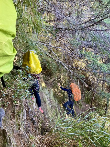 奇萊東稜翻山越嶺的淚與笑D3 2022/10/1—鐵線斷崖前營地至太魯閣北鞍營地1870730