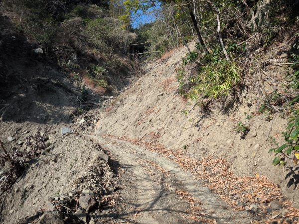 2026-02-10 白雲山2999917