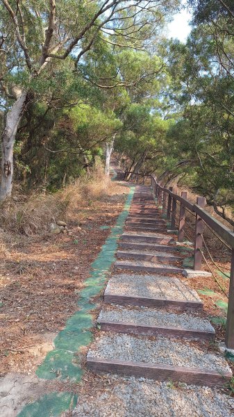 瑞井古道+竹坑山+竹坑南寮步道202603283045271