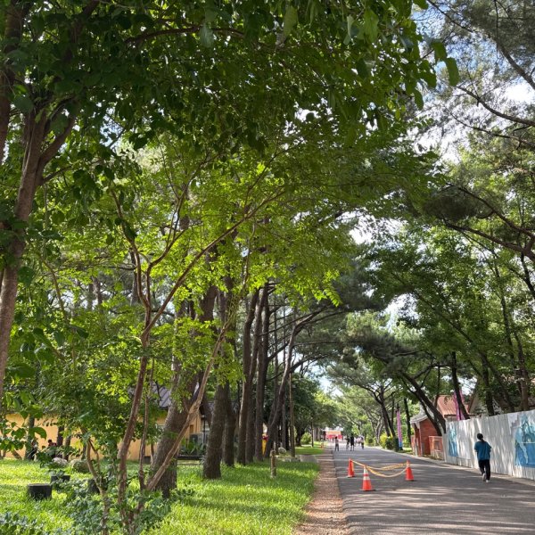 霄裡好風光運動樂悠遊2829073