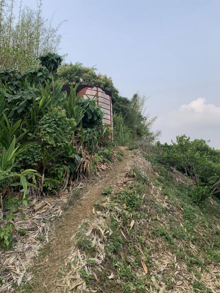 台中潭子聚興山環O林牛山一圈（小百岳）2126385