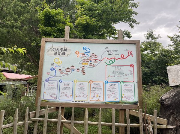 2025_0524 司馬庫斯神木群步道2797188