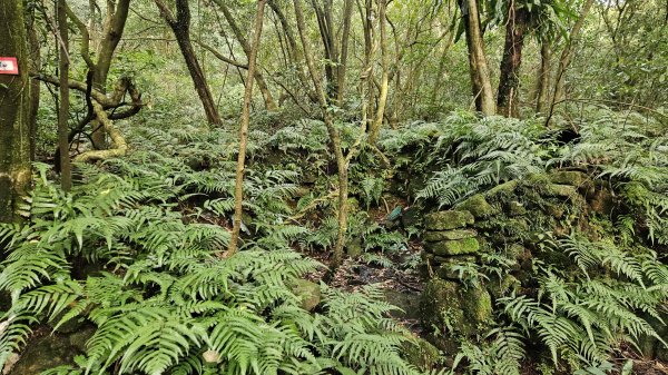 20260211庚子坪溫泉-赤石六山2997581