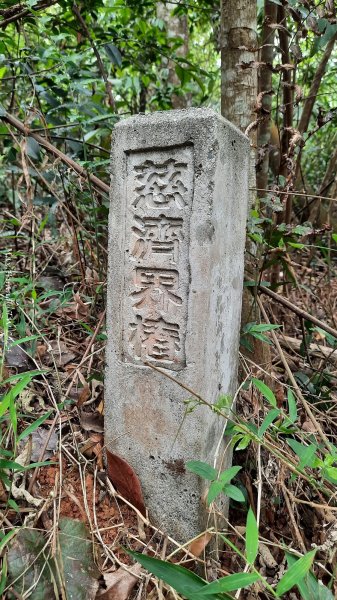 《苗栗》茶園古道｜三義登三義山慈濟山（三通嶺啟登）202404052472141