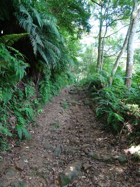 台灣小百岳第17座台北文山-二格山三角點1069121