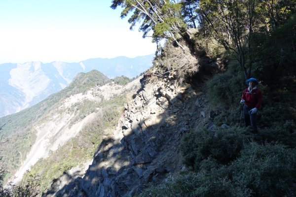 小關山林道上斯拉巴庫山1285106