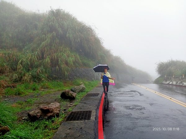 百拉卡公路人車分道、環七星山人車分道百拉卡公路入口站至冷水坑段、大港墘公園【走遍陽明山、健康大穀東】2307541