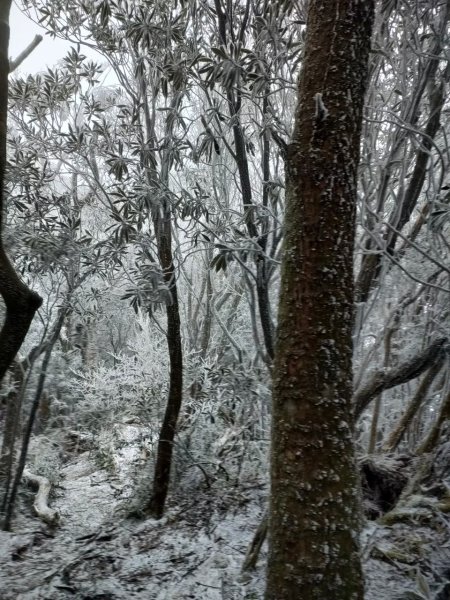 雪季北得拉曼2956385