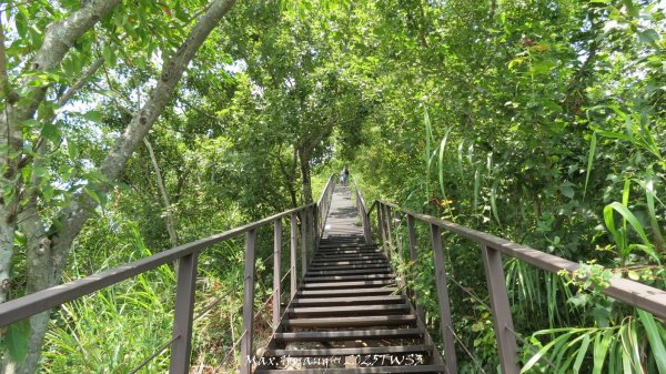 《南投》峰峰相連｜草屯九九峰森林步道O型202509062879295