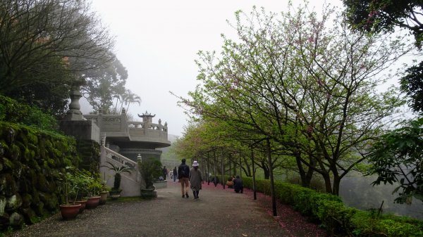 十八彎古道2026562