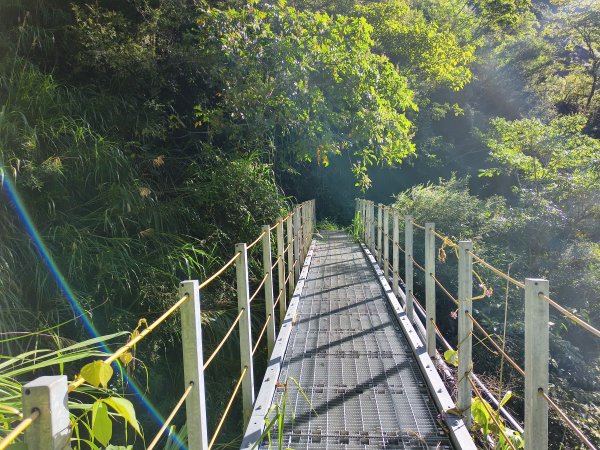 [玉山尋寶任務-07/12] 2025_0824 八通關雲龍瀑布步道2870572