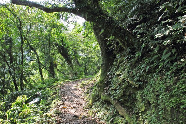 淡蘭古道 - 灣潭段625186