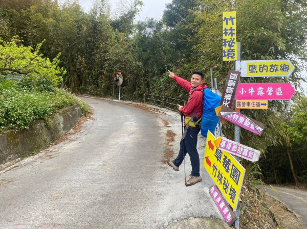 烏嘎彥竹林步道.馬都安古道【因為堅持 所以更顯珍貴】2064488