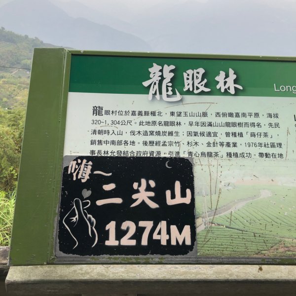 雲嘉大尖山二尖山2303312465252