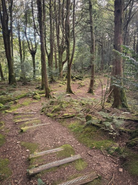 船型山林道賞雲海、烏石坑山、2432峰 山景海景一次到位2929315