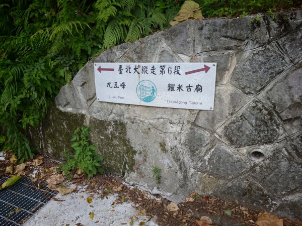 [淡蘭古道] 2026_0523 南路第一段_糶米古道3069489
