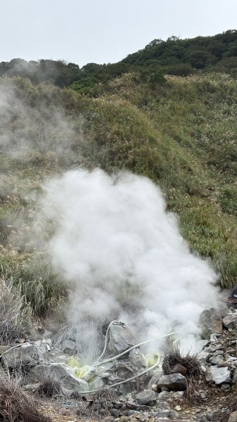 漫遊陽明山2951918