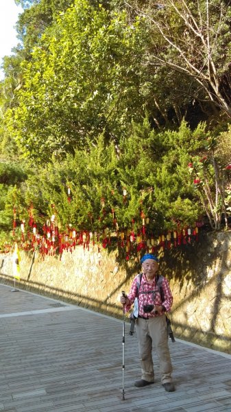 【臺北大縱走7】貓空壺穴、優美的茶香步道804946