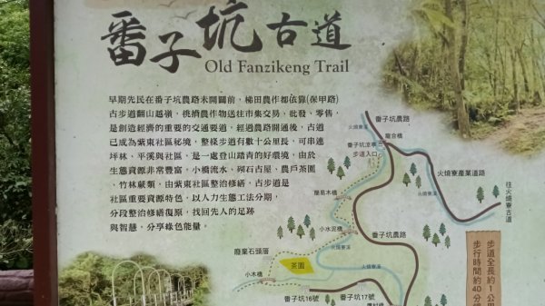 平溪區番子坑古步道O型3042593