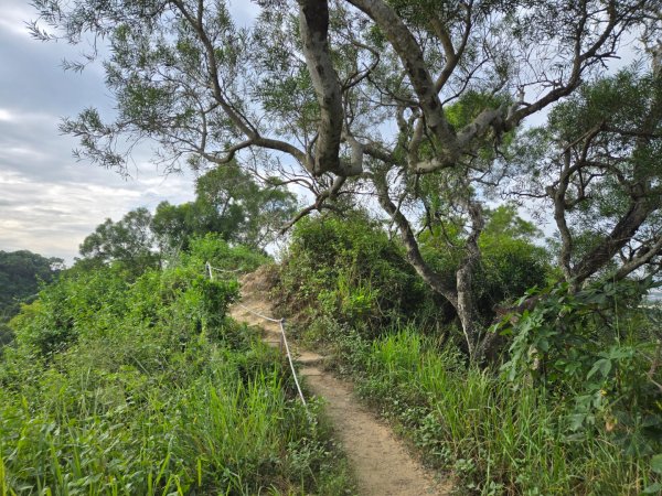 大社觀音山十三連峰環形2924412