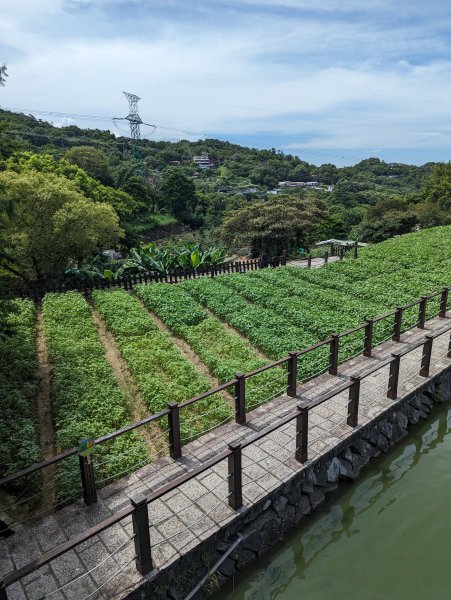 2023-08-26 臺北大縱走第七段2792851