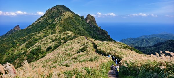 #半屏山 #芒花 11/262946024