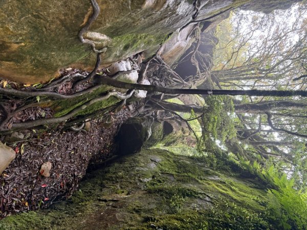 20250607 春谷養鱒場所上加里山 出大坪2805229