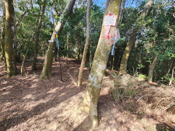 20260223柯子湖山菜堂山尖山沙湖壢山與寶山水庫基石3012624