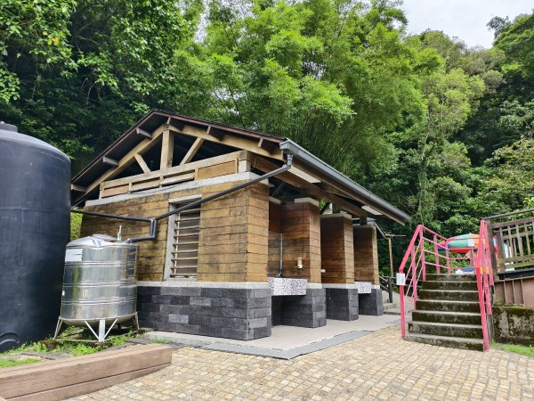 [百山百鳥尋旅-08/15] 2025_0831 大坑1號步道2876179