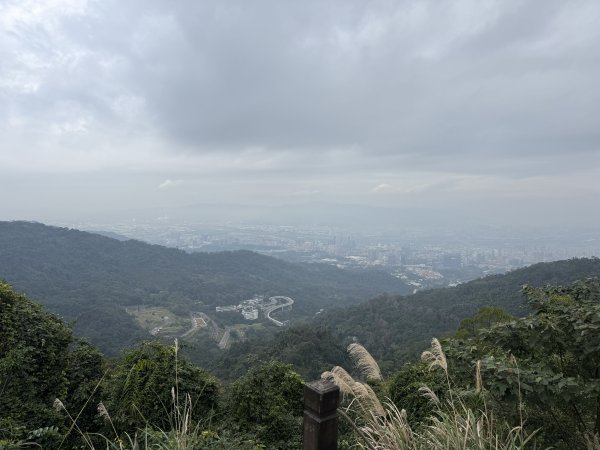 1150206天上山及硬漢嶺2999150