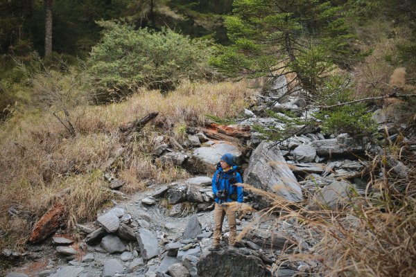 奇萊主北：奇萊北峰、月形池1322907