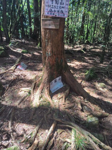 守關山南峰 守關山 守城大山2919151