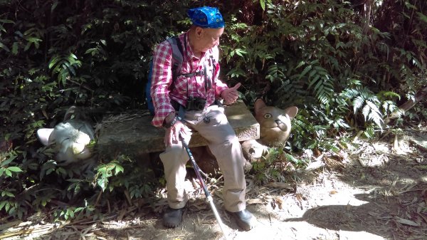 【臺北大縱走7】貓空壺穴、優美的茶香步道804922