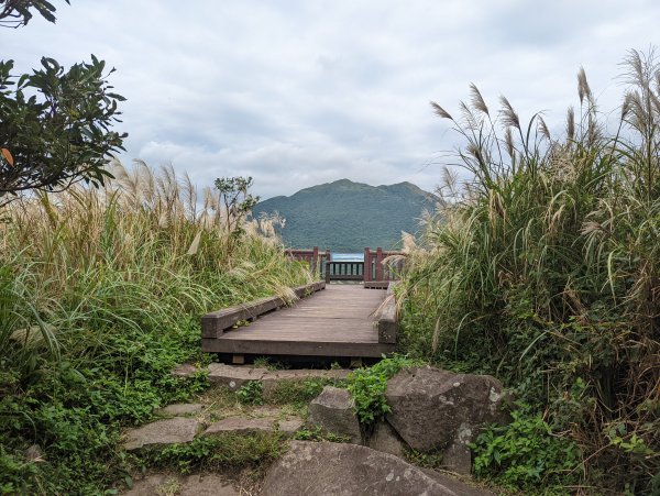 紗帽山步道探訪歷史遺跡、賞芒花1510071