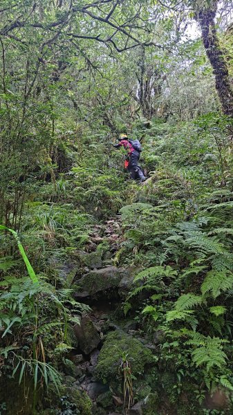 棲松縱走未竟2918403