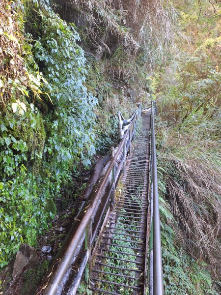 石山引水道202512112959562