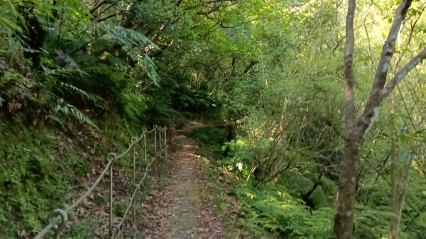 雙溪瑞芳區三貂嶺車站-幼坑古道-魚寮山-頂坑山-大煙囪-尪子崙坑-牡丹車站3128495