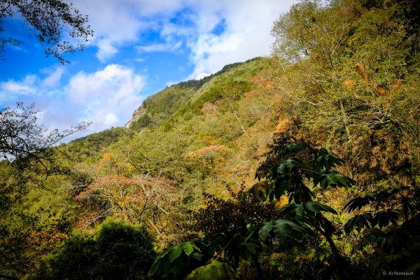 [冬訪大霸聖山岳參行]-大鹿林道東線榆金楓紅與九九山莊精選輯2974712
