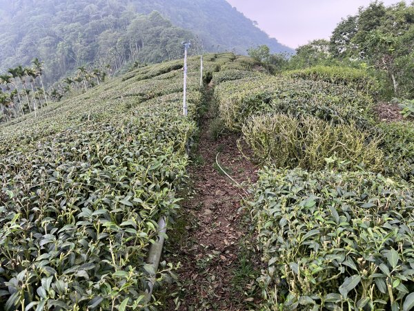 2023_0429_挑筍古道2138227