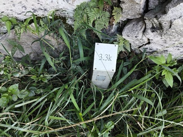 [玉山尋寶任務-07/12] 2025_0824 八通關雲龍瀑布步道2870581