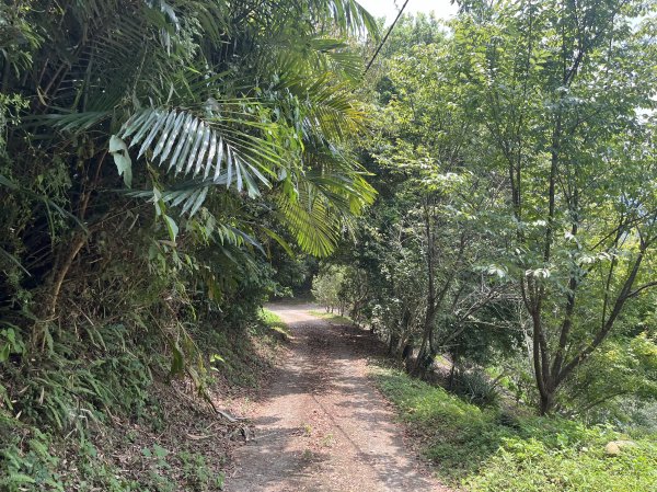 [皮皮獅Hike客任務-02/10] 2024_0720 渡南古道+飛鳳古道2557097