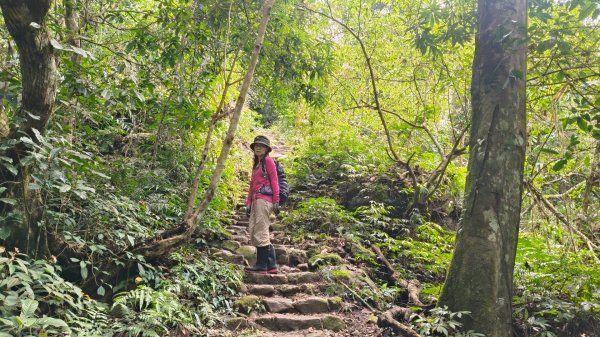 五指山走春3009587