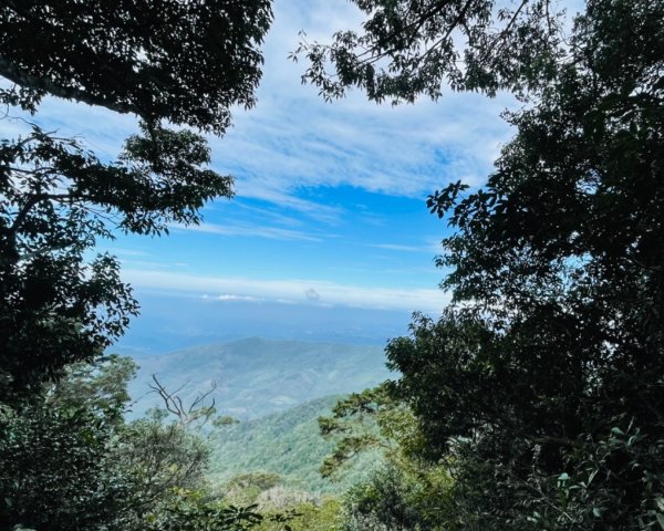 北得拉曼內鳥嘴山賞黃金山毛櫸、神木、雲海2647845