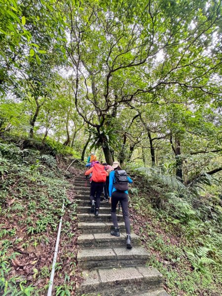 汐止大尖山/小百岳#12 走四分尾山3116157