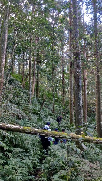 雲森瀑布 + 組合山 490724