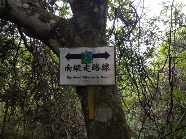 140高地公園(抱子腳山)→軍功山→富陽自然生態公園1493648