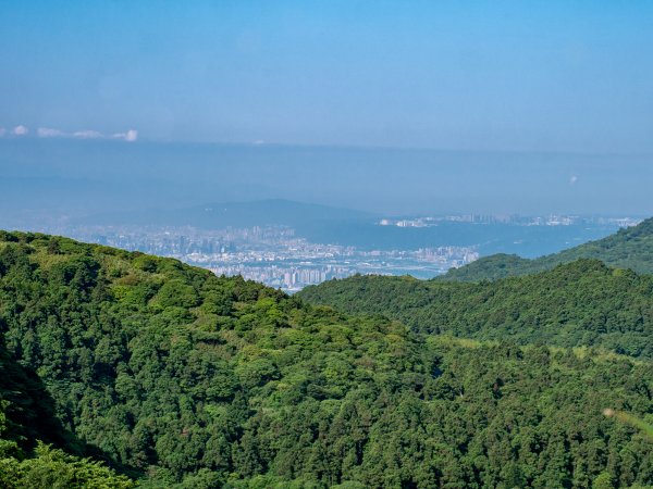 【行腳陽明山】初夏裡蒼翠欲滴的環七星山與百拉卡公路人車分道2188696