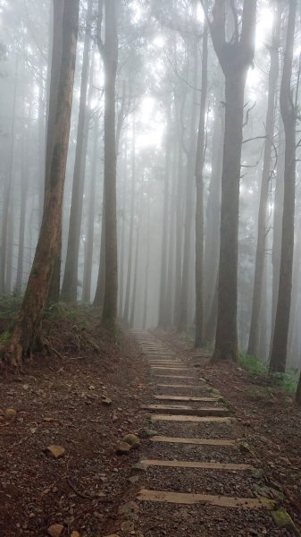 特富野古道622955