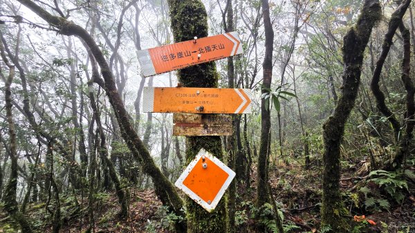東北季風起遊走雲瀑和山毛櫸間的啦卡山與北插天山登山行2951094