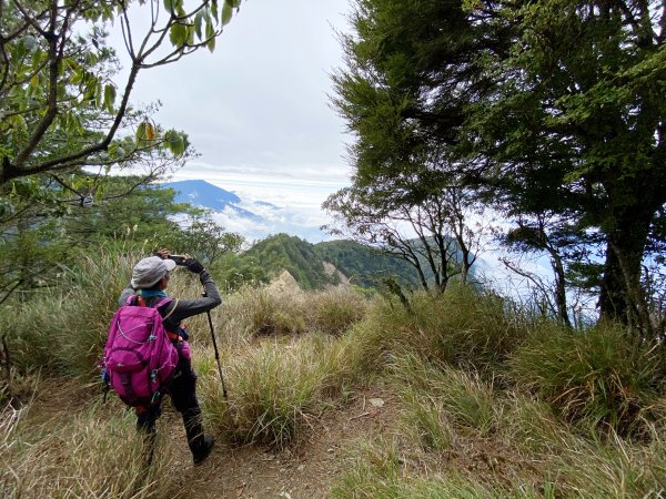 南橫小關山林道登斯拉巴庫山 2021161233246